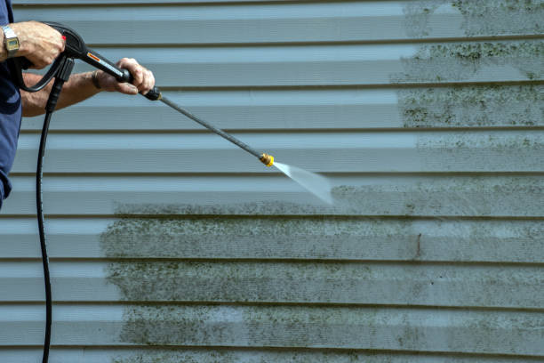 Best Exterior Home Cleaning  in Elmore, AL